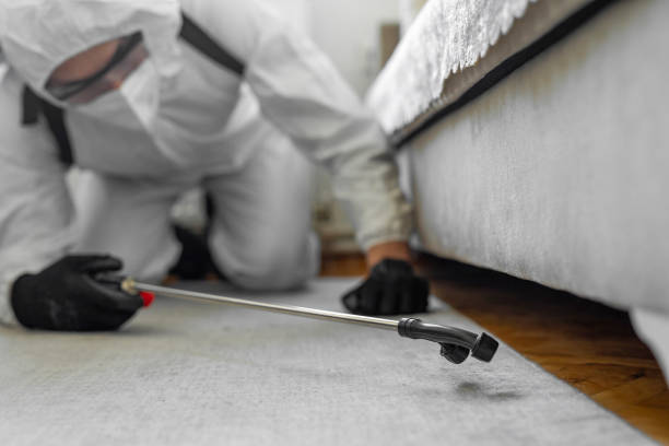 Professional Termite Control technician working in Little Cypress, TX