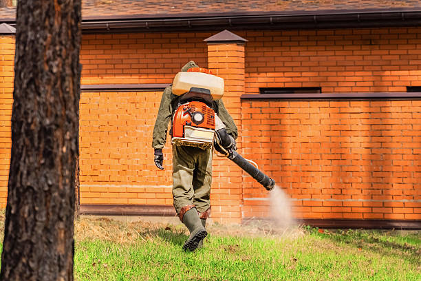 Trusted Termite Control service in Little Cypress, TX - Nex Pest Control